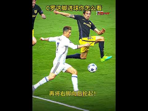 穆西亚拉绝,杀助力,拜仁稳坐德,香港赛马,赛程安排,赛果查询,马匹资料,赛事动态